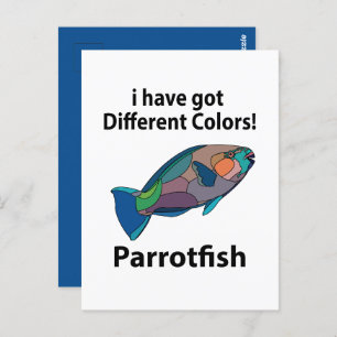 Parrotfish Funny Postcard