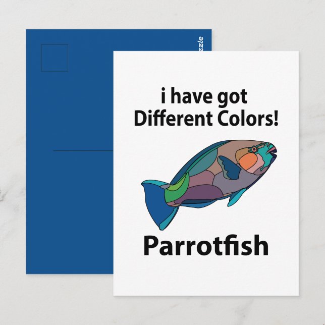 Parrotfish Funny Postcard (Front/Back)