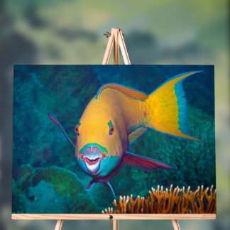 Parrotfish - Striking Make-Up! Colourful photo | Acrylic Sign