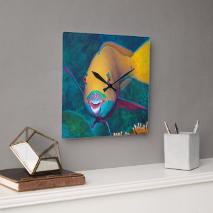 Parrotfish - Striking Make-Up! Colourful photo Square Wall Clock