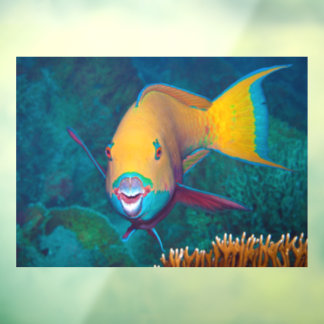 Parrotfish - Striking Make-Up! Colourful photo | Window Cling
