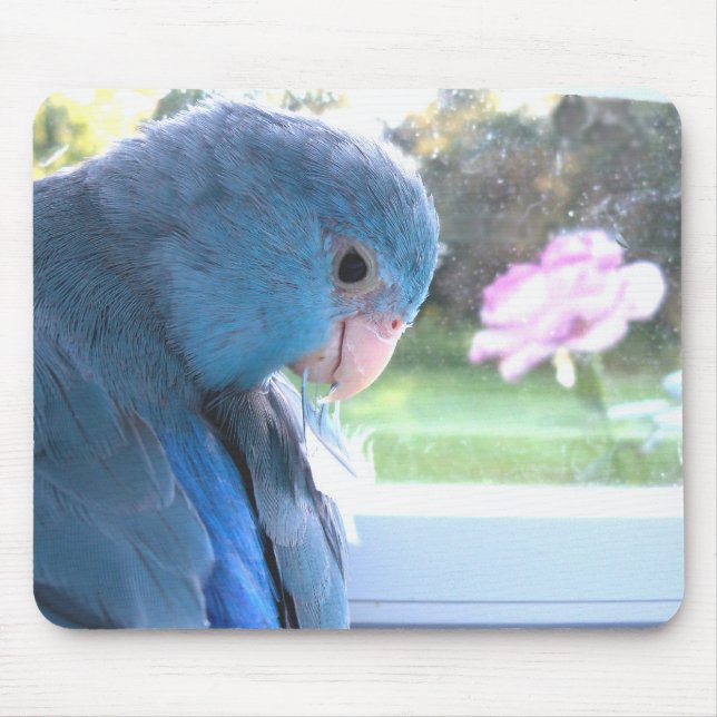 Parrotlet Blue Bird communing with nature mousepad (Front)