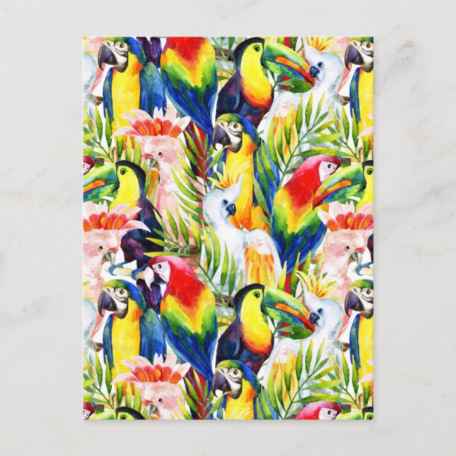 Parrots And Palm Leaves Postcard (Front)