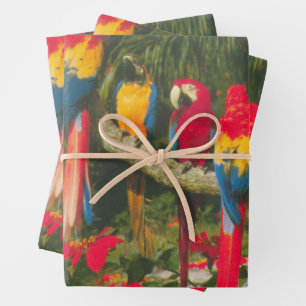 Parrots and Poinsettias Photo Christmas Wrapping Paper Sheet