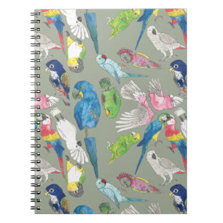 Parrots and 'Toos Notebook