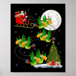 Parrots Bird Santa Sleigh Flying Funny Magical Chr Poster