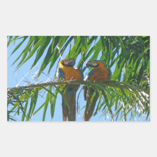 Parrots- Blue and Gold Macaws Rectangular Sticker