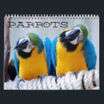 Parrots Calendar<br><div class="desc">Parrots Calendar.  This calendar features high resolution of some of the most beloved birds in the pet world.  Enjoy.</div>