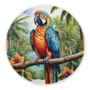 Parrots Colourful Tropical Ceramic Knob