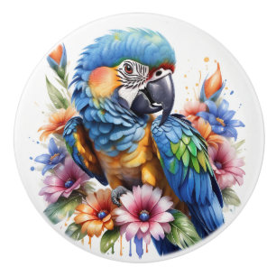 Parrots Colourful Tropical Ceramic Knob