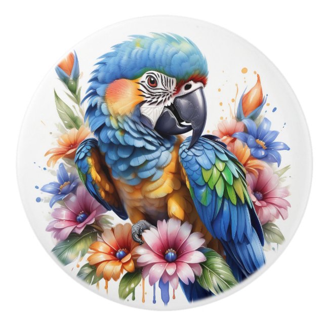 Parrots Colourful Tropical Ceramic Knob (Front)