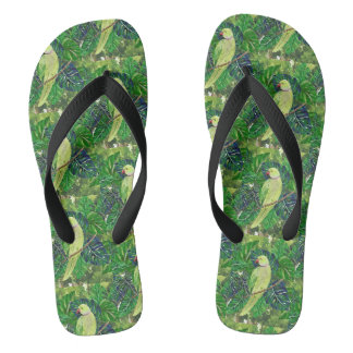 parrots flip flops