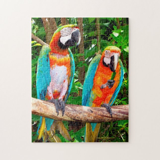 Parrots Florida. Jigsaw Puzzle (Vertical)