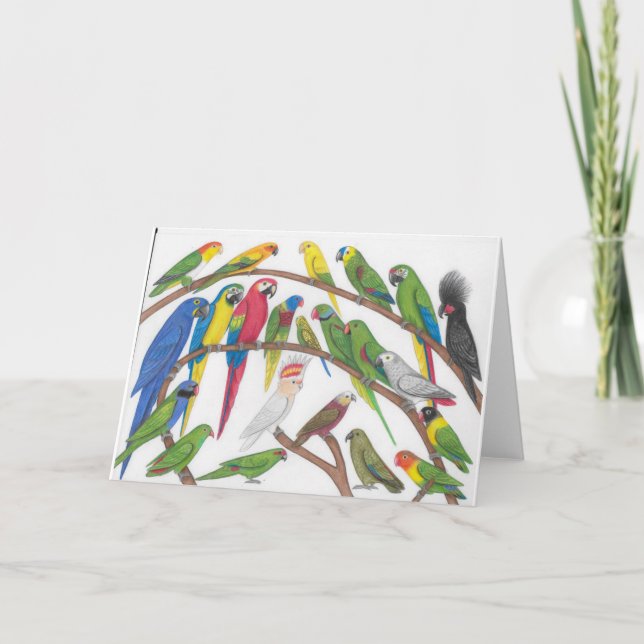 parrots greeting card (Front)