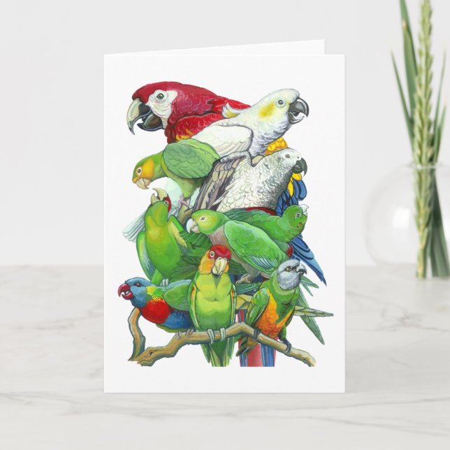 Parrots Greeting Card (Front)