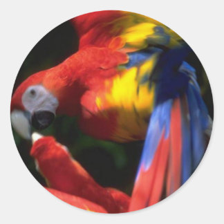 Parrots In Love Sticker