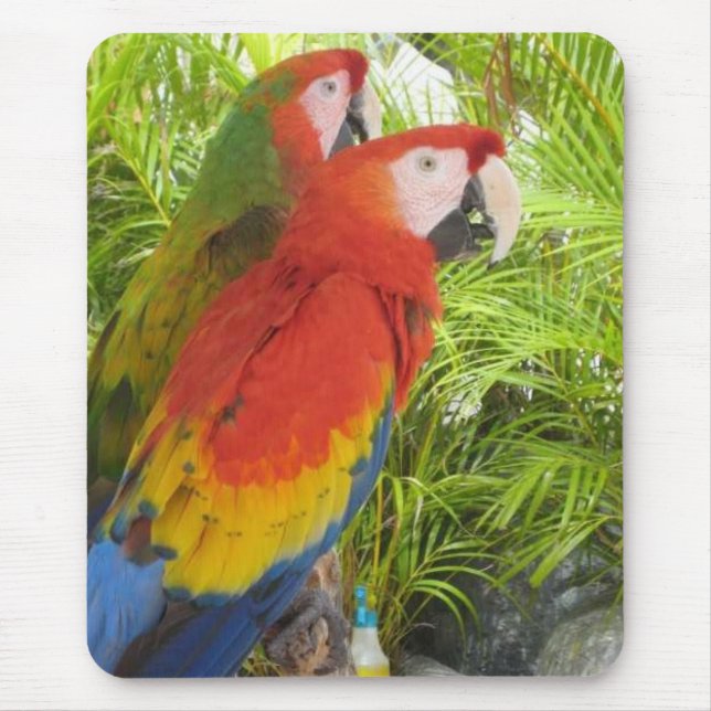 Parrots Mouse Mat (Front)