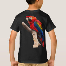 parrots on the tree