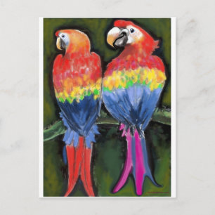 Parrots Postcard