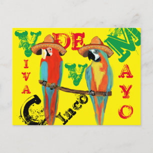 PARROTS POSTCARD