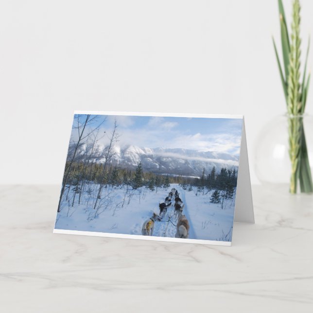 ParrotSleds - Landscape Card (Front)