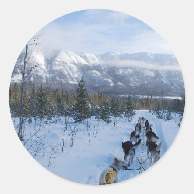ParrotSleds - Landscape Classic Round Sticker (Front)