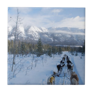ParrotSleds - Landscape Tile