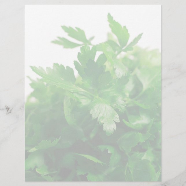 Parsley (Front)