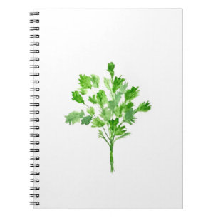 Parsley herbs kitchen plants vintage watercolor notebook