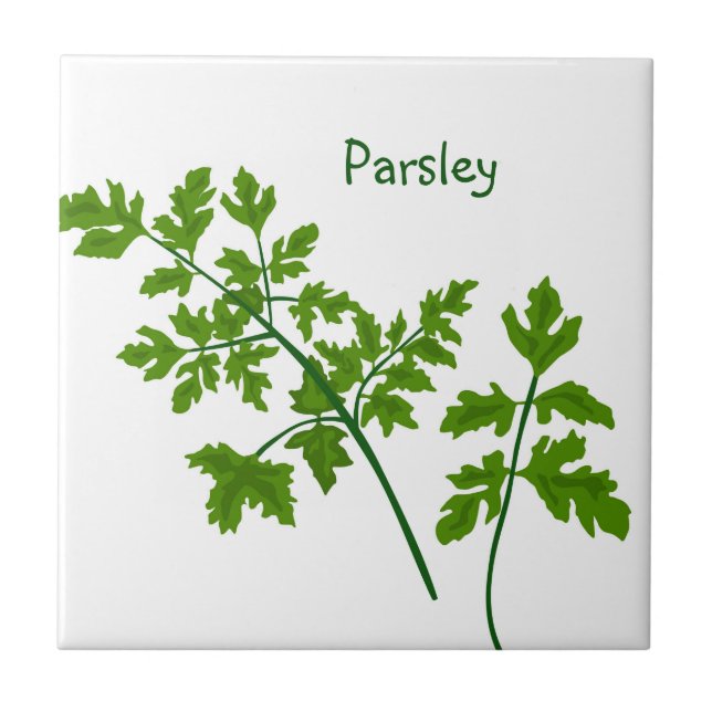 Parsley Herbs Kitchen Tile (Front)