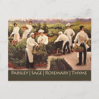 Parsley, Sage, Rosemary, and Thyme Postcard