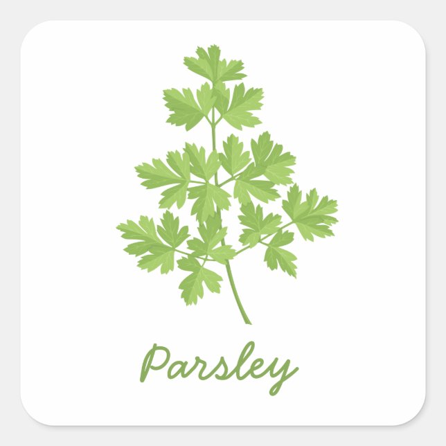 Parsley Square Sticker (Front)