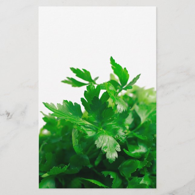 Parsley Stationery (Front)