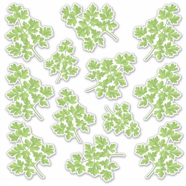 Parsley Sticker Set (Front)