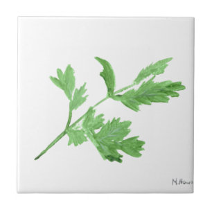 Parsley watercolor herbs green botanical plants tile