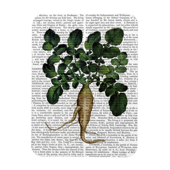 Parsnip 1 magnet (Vertical)