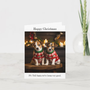 Parson Jack Russell Puppies Christmas Card