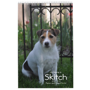 Parson Jack Russell Terrier Dog Calendar by Janz