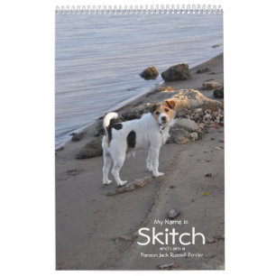 Parson Jack Russell Terrier Dog Calendar by Janz