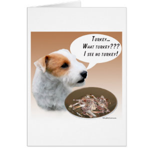 Parson Russell Terrier Turkey