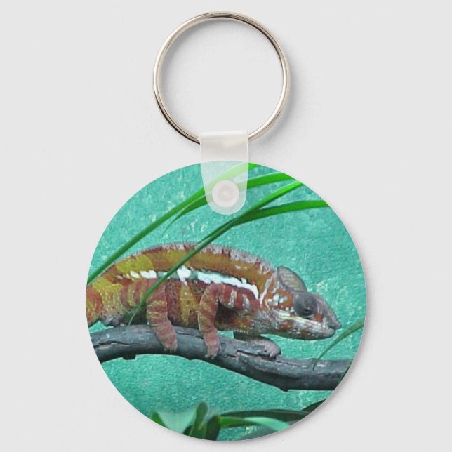 Parson's Chameleon Key Ring (Front)