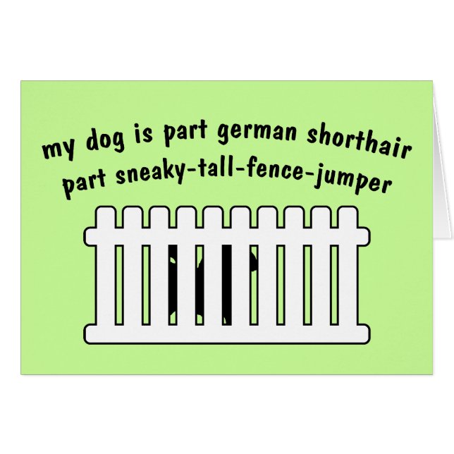 Part German Shorthair Part Fence-Jumper (Front Horizontal)