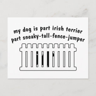 Part Irish Terrier Part Fence-Jumper Postcard