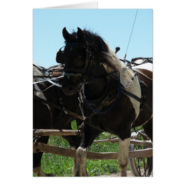 Part of a Team (Front)