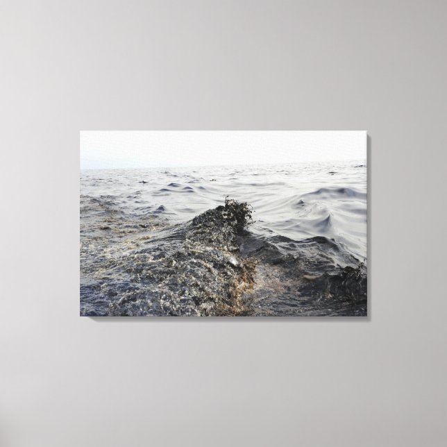 Part of an oil slick in the Gulf of Mexico Canvas Print (Front)
