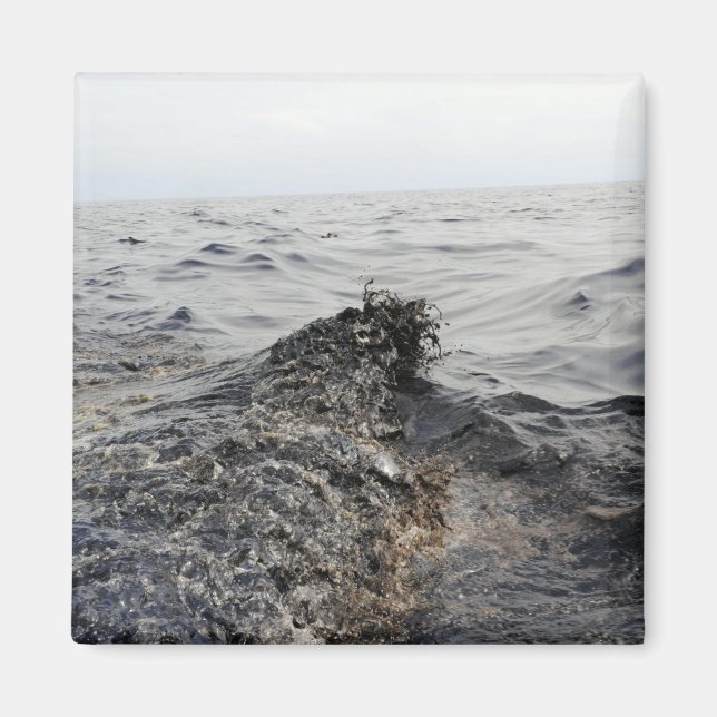 Part of an oil slick in the Gulf of Mexico Magnet (Front)