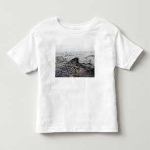 Part of an oil slick in the Gulf of Mexico Toddler T-Shirt