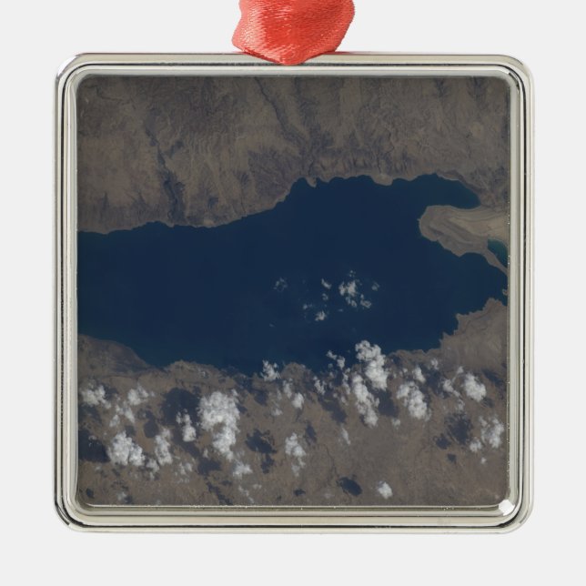 Part of the Dead Sea Metal Tree Decoration (Front)