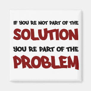 Part of the Solution magnet