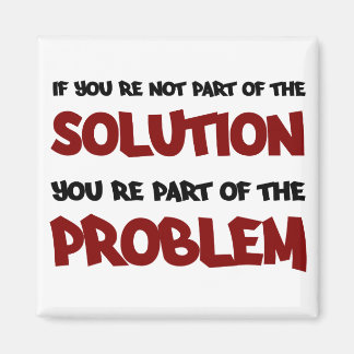 Part of the Solution magnet